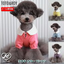 【メール便対応】リオキ カラー Tシャツ　TOTO&ROY　トトアンドロイ　ペット　ペット用品　犬用品　小型犬　中型犬　犬服　ドッグウェア　プチプラ