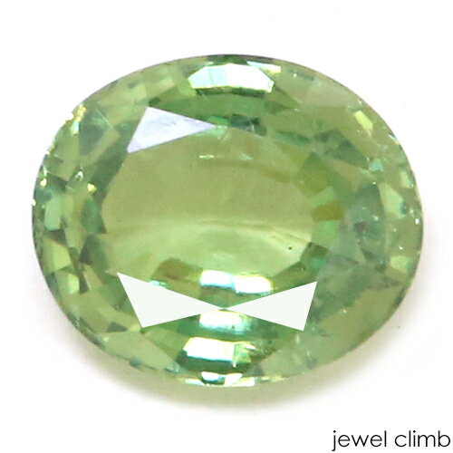 ◆ロシア以外のデマントイドはこちら 　 宝石 デマントイドガーネットDemantoid Garnet 重量 0．70CT 　 形状 オーバル 寸法 4．85x5．73x2．84mm 　 産地 ナミビア 硬度 6．5～7 　 品質 VS 色相 S 　 備考 『 カラーストーンの品質と色相の表記について　』 【ルース鑑別書付き】 　 　 【緑色石】【ファイア石】【稀少石】 -------------------------------------------- ◆解らないことがございましたらお気軽にお問い合わせください。 　当店スタッフが丁寧にご説明させて頂きます。 ◆ジュエリー加工をご希望の方は、お気軽にご相談ください。 　≫≫クライム工房 ◆当店では 天然石 のダイヤモンド、ルビー、サファイア、エメラルド等 宝石の国 と呼ばれるタイをはじめ様々な地域から世界中の希少な宝石を直輸入価格にて販売しております。 クリスマス　お誕生日 にルースのみ、後日ジュエリー加工というのも可能です。 指輪やリングは勿論のこと、ペンダント・ネックレス・イヤリング・ピアス・ボディピアス等 あらゆるジュエリー、アクセサリーの制作をお承っております。 オリジナルジュエリーを簡単に作成が出来ます。初心者の方でもお気軽にご相談くださいませ。 　 --------------------------------------------【ルース鑑別書付き】 美しいファイアを放つ希少石！ デマントイドガーネット0．70CT RECOMMEND POINT 　発色の良いグリーンは当店でトップ評価の彩り！ 　　　　高いクリアー感、豊かなサイズで輝くデマントイドガーネットです。 結晶全体に綺麗に広がる上品なグリーンカラーを 高い透明感で放つ希少なデマントイドガーネット。 ファイアの煌きが繊で存在感ある0．7CTのボディより 艶やかな輝きが溢れています。 ナミビア産のデマントイドはほとんどが 茶色みを帯びた結晶が多いのですが 濁った印象は一切なく、鮮やかなグリーンを備えた一石。 当店でトップ評価、Sクラスの彩りで輝く姿は必見です。 整ったオーバルスタイル、澄んだボディで ジェムクラスの美しさを演出。 色鮮やかなグリーン光彩が際立つ 存在感ある上質な結晶はコレクション、ジュエリーにオススメです！ 是非お手元にてごゆっくりとご覧くださいませ！ 　