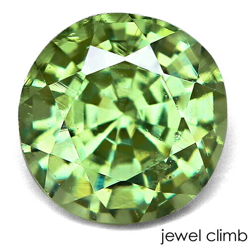 ̲ʤѹۥǥޥȥ ͥå  롼 032CT