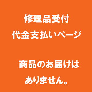 保証期間外の修理依頼の支払いページ