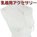 ニップルクリップ ネックレスオーバル ダイヤレーン ライトローズ シルバー 乳首アクセサリー 乳首 ニップルリング 乳首ネックレス 谷間 デコルテ ニップル 乳首 ジュエリーハナゾノ