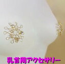 ニップルハガー ラインストーンクリスタル ゴールド 乳首アクセサリー ニップル 乳首 ジュエリーハナゾノ