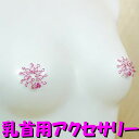 ニップルハガー ツイストフューシャ フクシア フクシアピンク 乳首 乳首アクセサリー ニップル 乳首 ジュエリーハナゾノ
