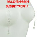 ニップルクリップ クローズド ダイヤレーン ハート クリスタル シルバー 乳首アクセサリー 乳首 ニップル 乳首 ジュエリーハナゾノ