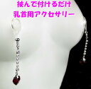 ニップルクリップ ダイヤレーンハート シャムオーロラ シルバー 乳首アクセサリー ニップル 乳首 ジュエリーハナゾノ