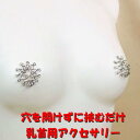 ニップルハガー レイシーシルバー&ブラック 乳首アクセサリー ニップル 乳首 ジュエリーハナゾノ