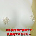ニップルハガー レイシーシルバー 乳首アクセサリー ニップル 乳首 ジュエリーハナゾノ