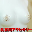 ニップルハガー ラージスター ゴールド 乳首アクセサリー ニップル 乳首 ジュエリーハナゾノ