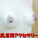 ニップルハガー ラージスター パープル 乳首アクセサリー ニップル 乳首 ジュエリーハナゾノ