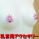 ニップルハガー　スモールスター フューシャ フクシア フクシアピンク 乳首 乳首アクセサリー ニップル 乳首 ジュエリーハナゾノ