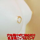 ニップルリング ゴールド06 乳首アクセサリー 乳首 ニップル 乳首 ジュエリーハナゾノ