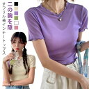 【P10倍!12日23:59まで期間限定】二の腕 半袖 着痩せ インナー 透け感 Tシャツ 付け袖 ショート丈 フリル袖 シアー 薄手 体型カバー フリル レー...