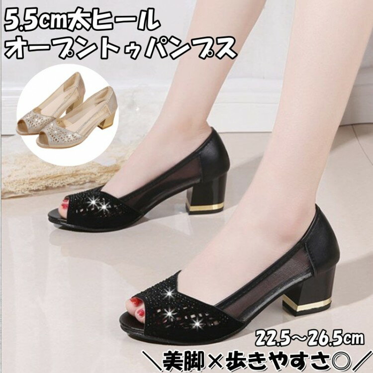 ѥץ ǥ   ߥɥҡ ץȥ ҡ 󥭡ҡ  ˤʤ ⤭䤹 礭   뺧 ´ȼ ...