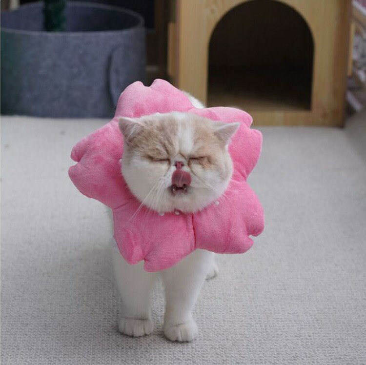 エリザベスカラー S 桜 さくら 富士山 魚 ウェア おしゃれ 猫グッズ 小型犬 犬グッズ ソフト 柔らかい ふわふわ クッション 軽量 手術 傷 猫用エリザベスカラー 犬 舐 足 保護 犬用のサムネイル