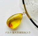 【天然琥珀】虫入り【琥珀 ネックレス】【ペンダント】【パワーストーン】本革レザーネックレス付き 送料無料 プレゼント メンズ