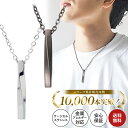 錆びない ネックレス メンズ スティック ペンダント 316L サージカルステンレス シンプル ステンレス シルバー プレゼント 50cm チェーン アクセサリ...