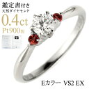 ( 1月誕生石 ) ガーネット Ptダイヤリング(婚約指輪・エンゲージリング)【楽ギフ_包装】 末広 【今だけ代引手数料無料】