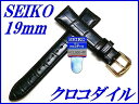 wSEIKOxoh 19mm NR_C(tXd)DEL3 Fyz