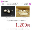 フォーマルにも普段使いにも♪天然貝核・本貝パールピアス 8mm【真珠】【日本製】【 パール 】