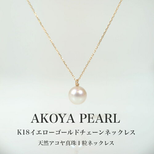 価格の限界に挑戦！アコヤ akoya パール 18金 クリスマス デート 入学...