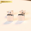 【全品70%OFFクーポン 円高還元セール!!4/20-21】 ピアス 両耳用 シルバー925 スタッド 定番 シルバー 石なし シンプル スクエア 四角形 普...