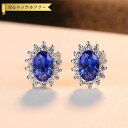 【全品70%OFFクーポン 円高還元セール!!4/20-21】 ピアス 両耳用 FORMICA Nanocrystal シルバー925 スタッド ブルー シルバ...