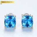 【全品70%OFFクーポン 円高還元セール!!4/20-21】 ピアス 両耳用 FORMICA Nanocrystal シルバー925 ブルー シルバー スタッ...