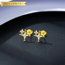 【全品70%OFFクーポン 円高還元セール!!4/20-21】 ピアス 両耳用 キュービックジルコニア ホワイト シルバー925 イエローゴールド スタッド お...