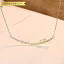 【全品70%OFFクーポンで2094円 先着100名様 祝楽天イーグルス勝利セール】 ネックレス 40+5cm アジャスター 引き輪 キュービックジルコニア シルバー925 ホワイト イエローゴールド 小豆 アズキチェーン おしゃれ cn0316