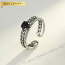 【全品70%OFFクーポン 円高還元セール!!4/20-21】 リング フリーサイズ9〜16号 キュービックジルコニア シルバー925 ブラック シルバー 一粒...