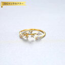 【全品70%OFFクーポン 円高還元セール!!4/20-21】 リング フリーサイズ9〜16号 キュービックジルコニア シルバー925 イエローゴールド シルバ...
