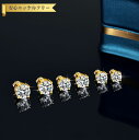【全品70%OFFクーポン 円高還元セール!!4/20-21】 ピアス 両耳用 レディース モアサナイト ホワイト シルバー925 イエローゴールド 0.5ct...