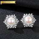 【全品70%OFFクーポン 円高還元セール!!4/20-21】 ピアス 両耳用 キュービックジルコニア 淡水パール シルバー925 ホワイト ピンク パープル ...