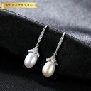 【全品70%OFFクーポン 円高還元セール!!4/20-21】 ピアス 両耳用 キュービックジルコニア 淡水パール シルバー925 ホワイト シルバー フック ...