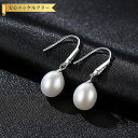 【全品70%OFFクーポン 円高還元セール!!4/20-21】 ピアス 両耳用 キュービックジルコニア 淡水パール シルバー925 ホワイト ピンク パープル ...