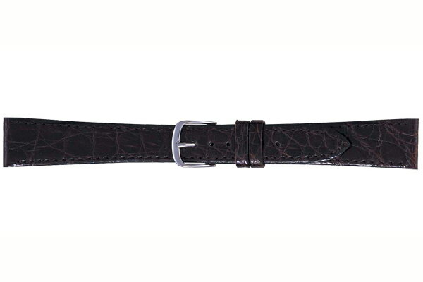 腕時計ベルト BAMBI バンビ ワニ革(カイマン・シャイニング) BWE251B チョコ メンズ Lサイズ ロングベルト 16mm 17mm 18mm 19mm 20mm ギフト対応 送料無料