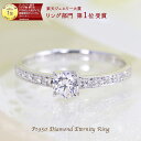 【特別価格】楽天ジュエリー大賞受賞【0.28ct～0.3ct】Pt950 大粒 ダイヤモンド リング ハーフエタニティ リング 刻印無料 指輪 プラチナ 人気 ダイヤ エタニティ エンゲージ 婚約 記念日 プレゼント 0.28ct～0.30ct 1粒