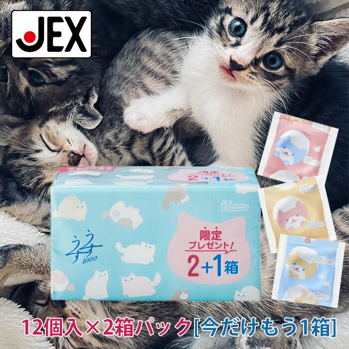 ڴ̵ָۥɡ 䥳  1000 2ץ饹1Ȣ ͥǥ [123Ȣ 36] ڥƥåۥɥ ǥ ...