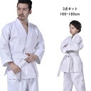 空手着 空手衣 子供 大人 授業用 中学 ジュニア 上下セット セットアップ 3点セット ズボン 上着 帯 合気道着 道衣 柔道着 空手道衣 キッズ 合気道 道...