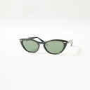 【送料無料】 Ray-Ban レイバン サングラス 0RB4314N メンズ アイウェア 54 ブラック