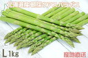 グリーンアスパラガス 北海道産アスパラガス 1kg Lサイズ送料無料!自社農園より直送!露地 北海道産直 アスパラ 低農薬 1kg Lサイズ朝もぎ 産地直送 通...
