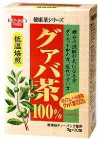 【送料一律540円】グァバ茶　3g×30包