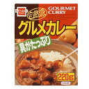 【送料一律540円】自然派グルメカレー レトルト 220g×5個セット 健康フーズ