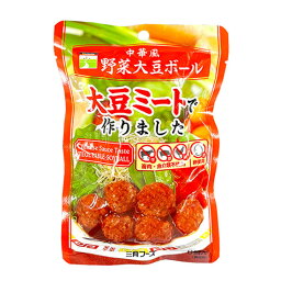 【送料一律200円】中華風野菜大豆ボール　100g×5袋　三育フーズ