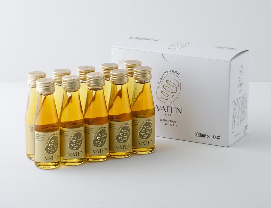 【10本セット】VATEN（バテン）　100ml