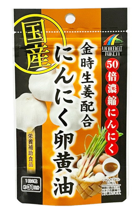 【送料一律200円】リケン 金時生姜配合　にんにく卵黄油　62粒