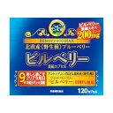 【送料一律540円】ビルベリー200MAX　120カプセル　ウエルネスジャパン/ウエルネスライフサイエンス【ビルベリー200mg】 【B】