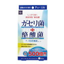 【送料無料】ガセリ菌＋酪酸菌　90粒　ウエルネスジャパン/ウエルネスライフサイエンス[ヨーグルト サプリメント]