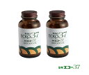 【全国送料無料】【メール便】 大塚製薬 SOYJOY 抹茶＆マカダミア 30g×12本 ソイジョイ ［郵便受けへの投函です］