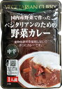 【送料一律200円】ベジタリアンのための野菜カレー 200g(桜井食品)